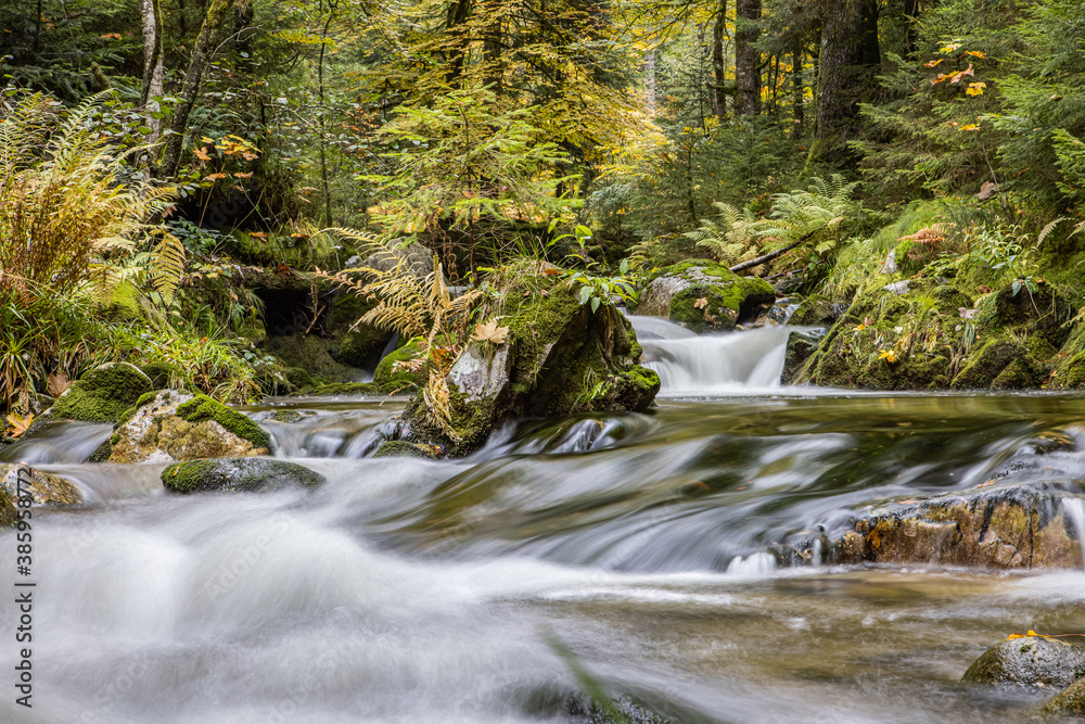 Ruisseau des Vosges en automne