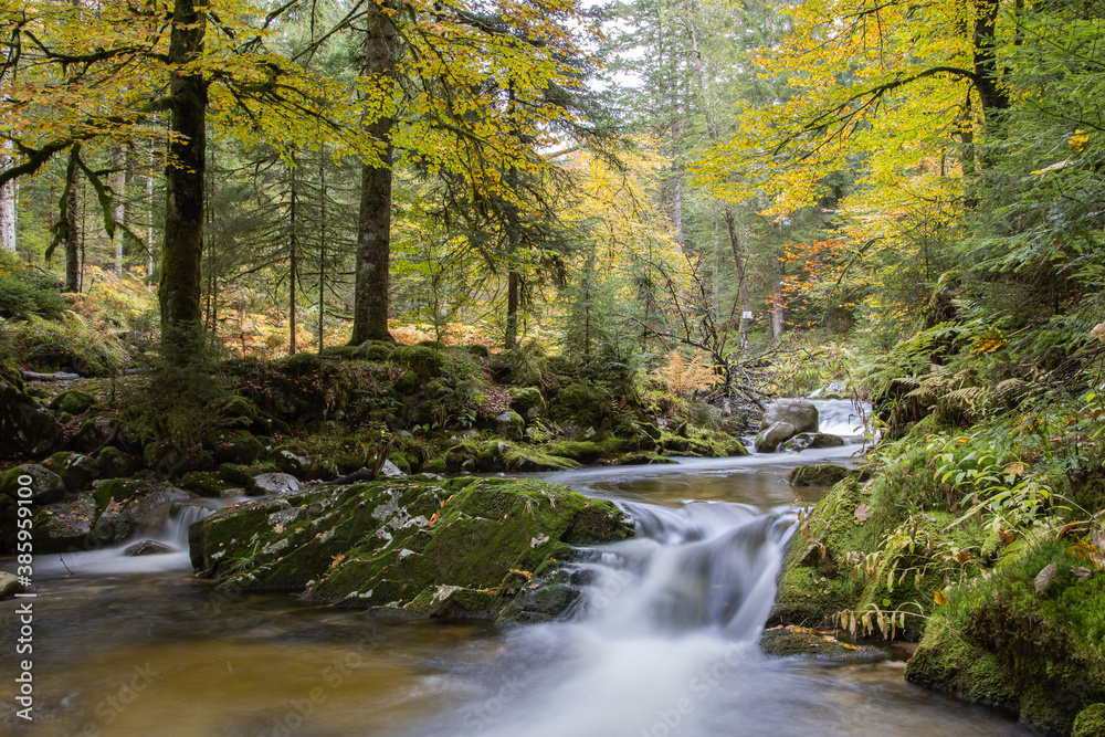 Ruisseau des Vosges en automne Ruisseau des Vosges en automne