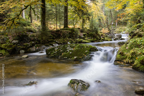 Fototapeta Naklejka Na Ścianę i Meble -  Ruisseau des Vosges en automne