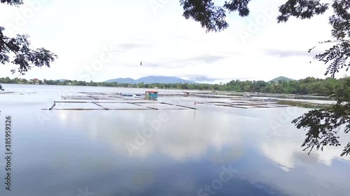 Aerial Drone passing through tree branches Sampaloc lake fish cages photo