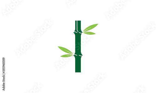 bamboo, plant, green, nature, leaf, tree, abstract, natural, symbol