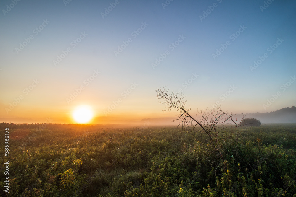 Naklejka premium sunrise over the field