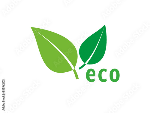 Grüne Blätter mit ECO Text isoliert auf weißen Hintergrund Vektor