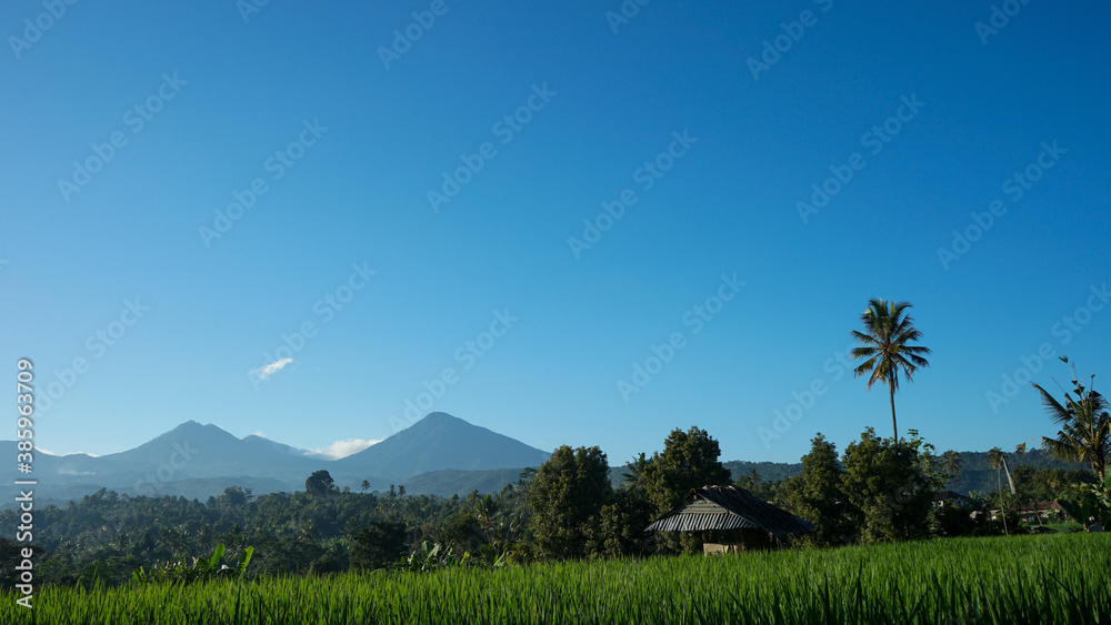 Fototapeta premium landscape with mountains