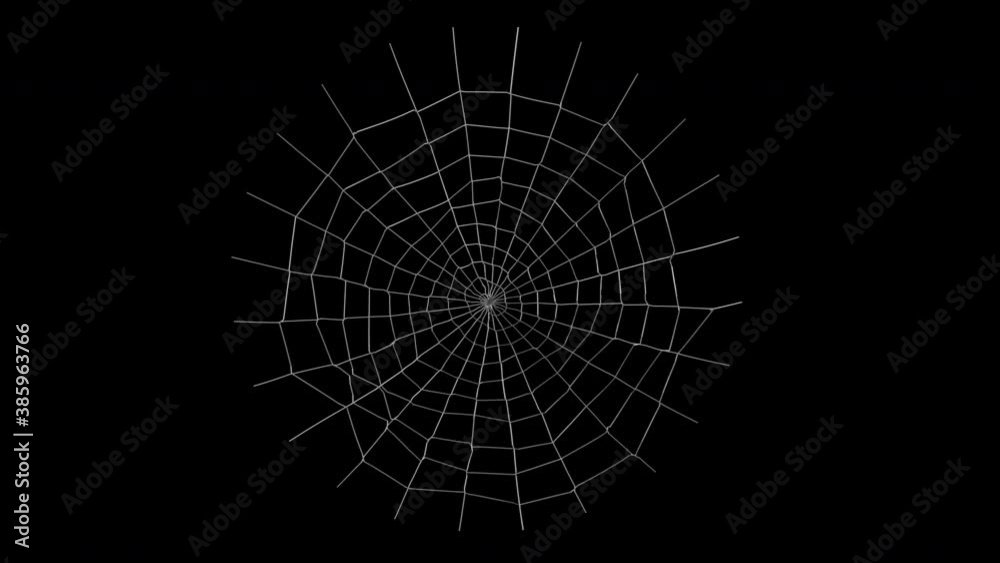 spider web animation with alpha channel