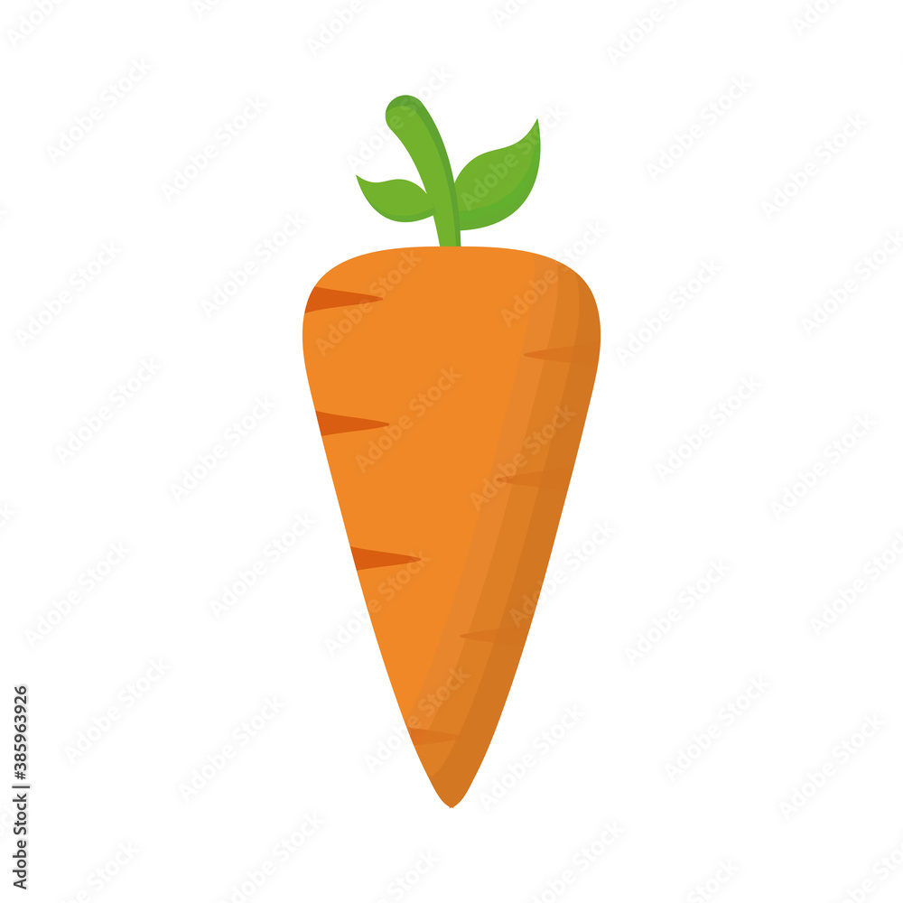 Isolated carrot vegetable vector design Isolated carrot vegetable vector design