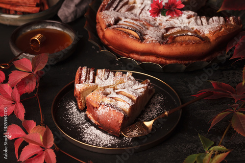 Autumn Apple pie. Homemade cakes on the background of grape leaves. Apple pie with cinnamon. Warm cake with powdered sugar