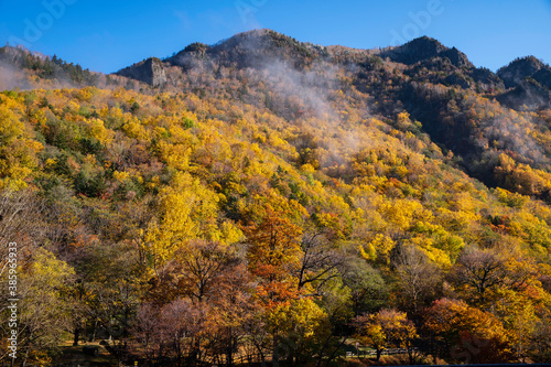Autnmn Leaves at Sounkyo, Kamikawa, Hokkaido, Japan