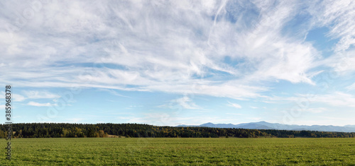 Meadow with small forest, grass in foreground, autumn evening cirrus clouds sky above - high resolution image © Lubo Ivanko
