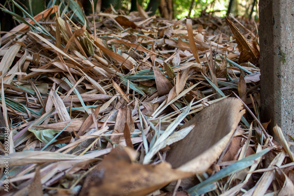 Fotos tiradas na cidade de Ribeirão Preto -SP, em diferentes locais, todas focadas na natureza Fotos tiradas na cidade de Ribeirão Preto -SP, em diferentes locais, todas focadas na natureza