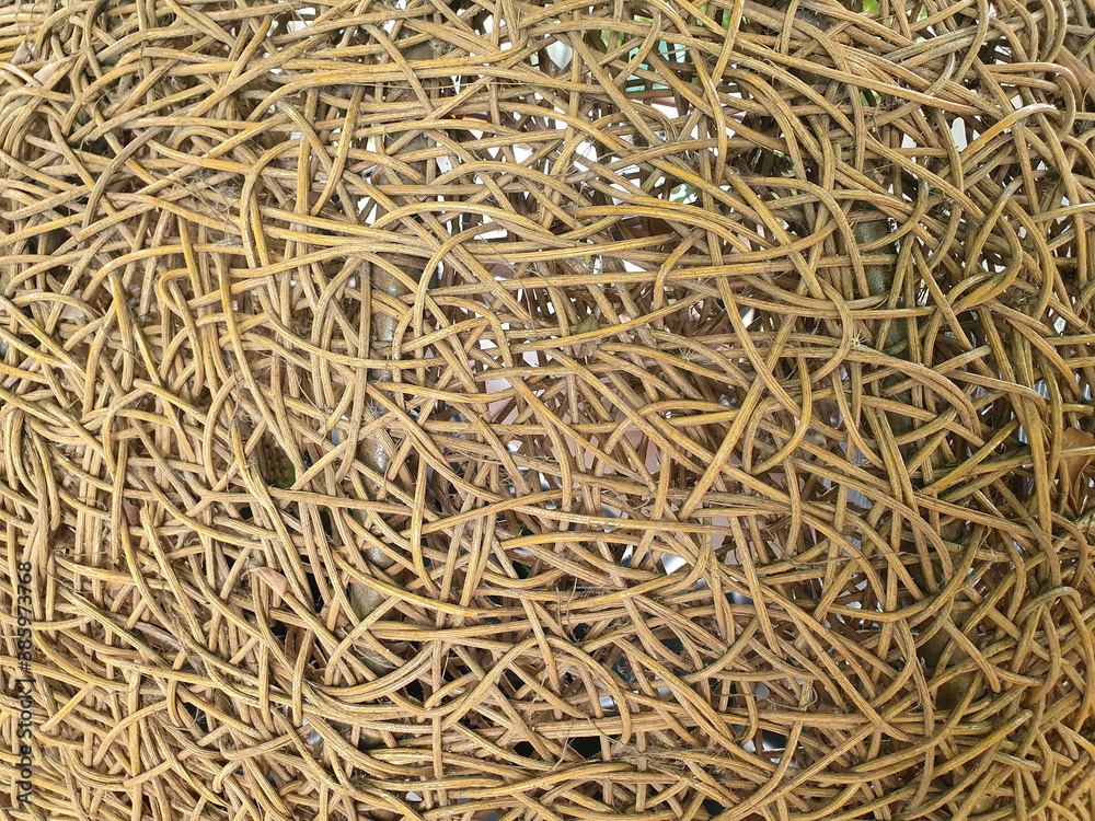 Beautiful close-up patterns of rattan weave into furniture such as chairs or other furniture. Rattan has durable properties that are suitable for making furniture.
Beautiful close-up patterns of rattan weave into furniture such as chairs or other furniture. Rattan has durable properties that are suitable for making furniture.