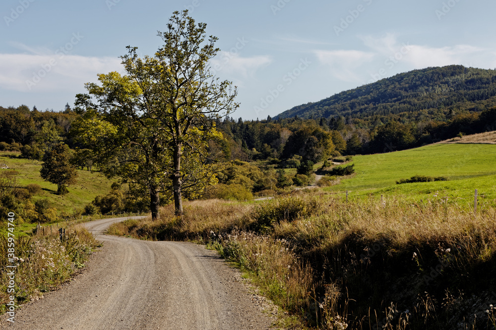 Landscape of Beskid Niski mountains. Winding dirt road in Regietow Wyzny in Lesser Poland. Grassy land and forested mountain hill. European nature landscape.