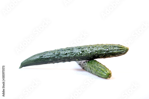 fresh cucumber on white background 