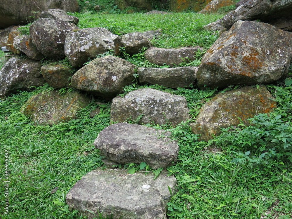 the green pass in the nature design for healthy lifestyle the green pass in the nature design for healthy lifestyle