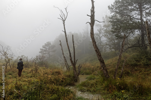 Fototapeta Naklejka Na Ścianę i Meble -  Person standing alone in solitude in hazy forest area with obscure water stream.
