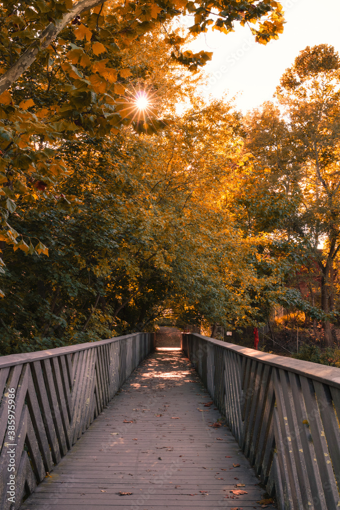 Sun flare popping through fall foliage trees over a long wooden boardwalk. Madam Brett Park, Beacon New York 