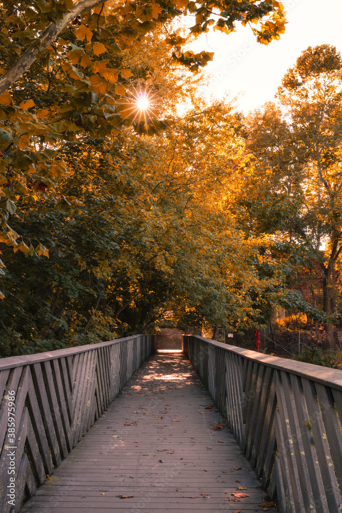 Fototapeta premium Sun flare popping through fall foliage trees over a long wooden boardwalk. Madam Brett Park, Beacon New York
