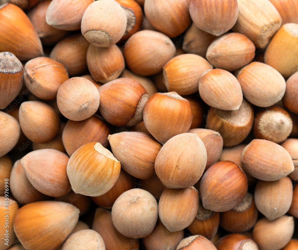 Heap of hazelnuts in a bowl, macro Heap of hazelnuts in a bowl, macro
