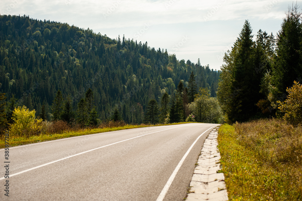 Fototapeta premium Beautiful winding road in the mountains through a coniferous forest