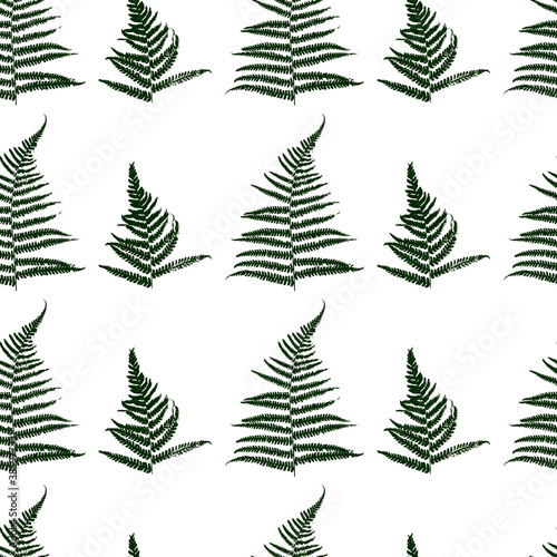 Seamless pattern with fern leaves isolated on white - natural background for textile design