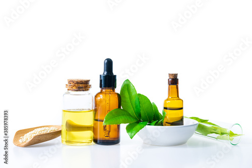 Herb oil from natural for aromatherapy  alternative medicine and product for health and wellness.