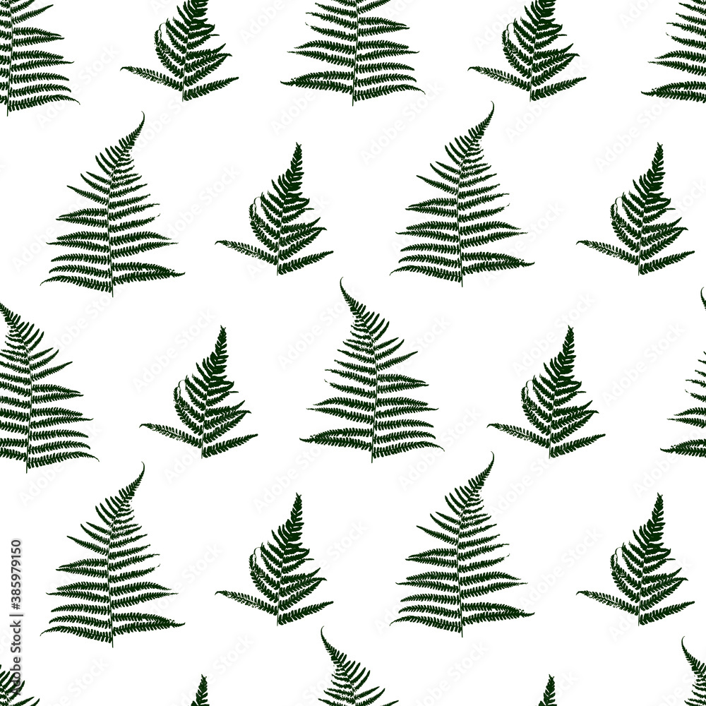 Seamless pattern with fern leaves on white - natural background for textile design