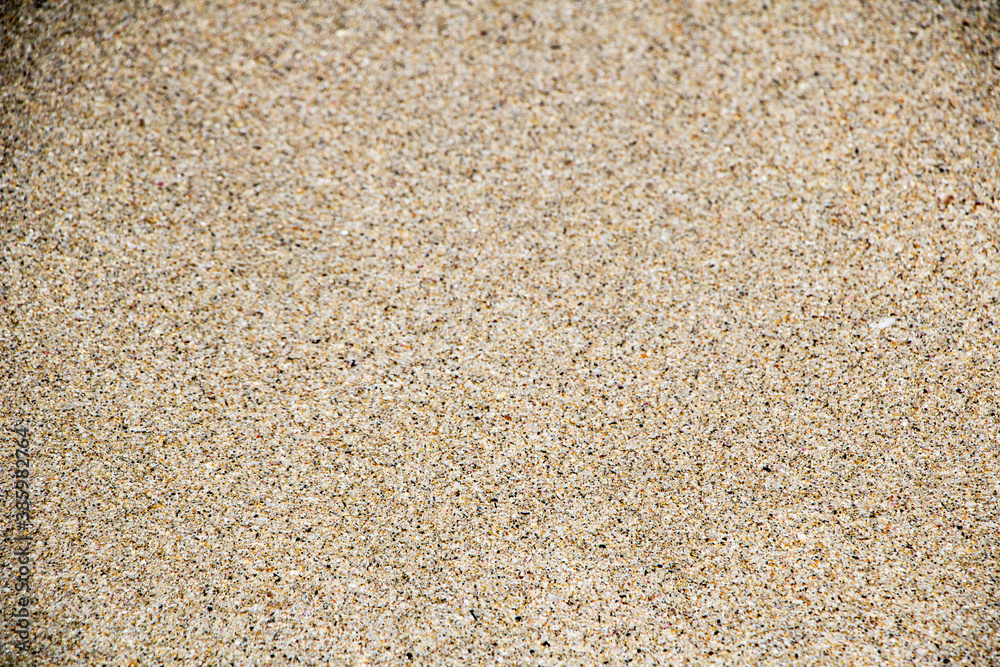 Top view of sandy beach. Background with copy space and visible sand texture.
Top view of sandy beach. Background with copy space and visible sand texture.