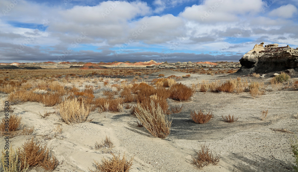 Landscape in Bisti - New Mexico