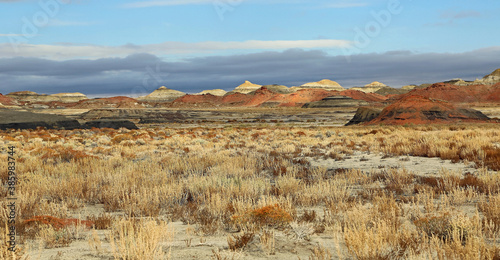 Colorful desert in Bisti - New Mexico