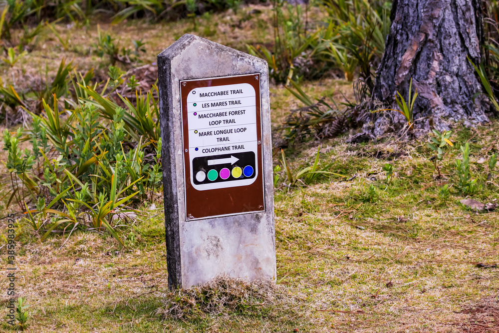 Farbige Wegmarkierung in der üppig grünen Natur des Black River Gorges Nationalparks auf der Insel Mauritius im Indischen Ozean Farbige Wegmarkierung in der üppig grünen Natur des Black River Gorges Nationalparks auf der Insel Mauritius im Indischen Ozean