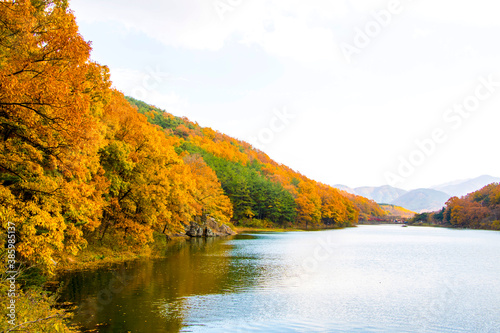 Collection of Beautiful Colorful Autumn Leaves reflected in the water 