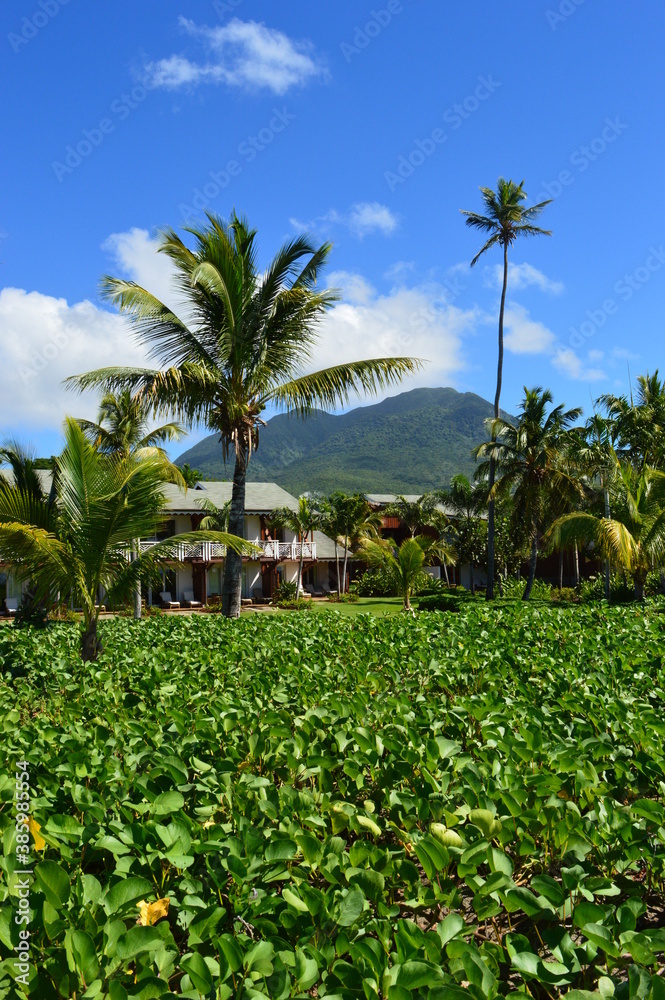 The beautiful paradise beaches on the St Kitts And Nevis Islands in the ...