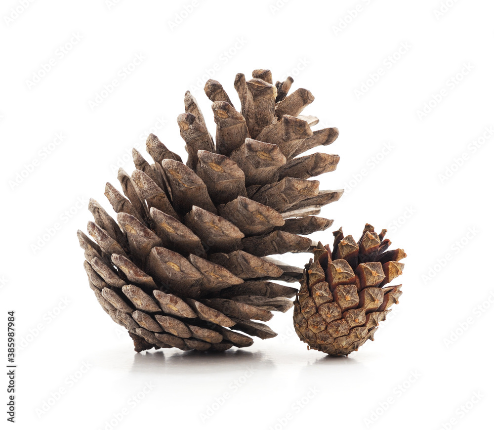 Two beautiful cones. Two beautiful cones.