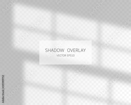 Shadow overlay effect. Natural shadows from window isolated on transparent background. Vector illustration. 