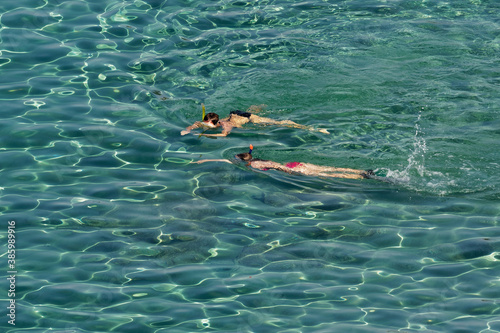 Two women snorkeling in the blue ocean water, diving and swimming, watching and observing the underwater life