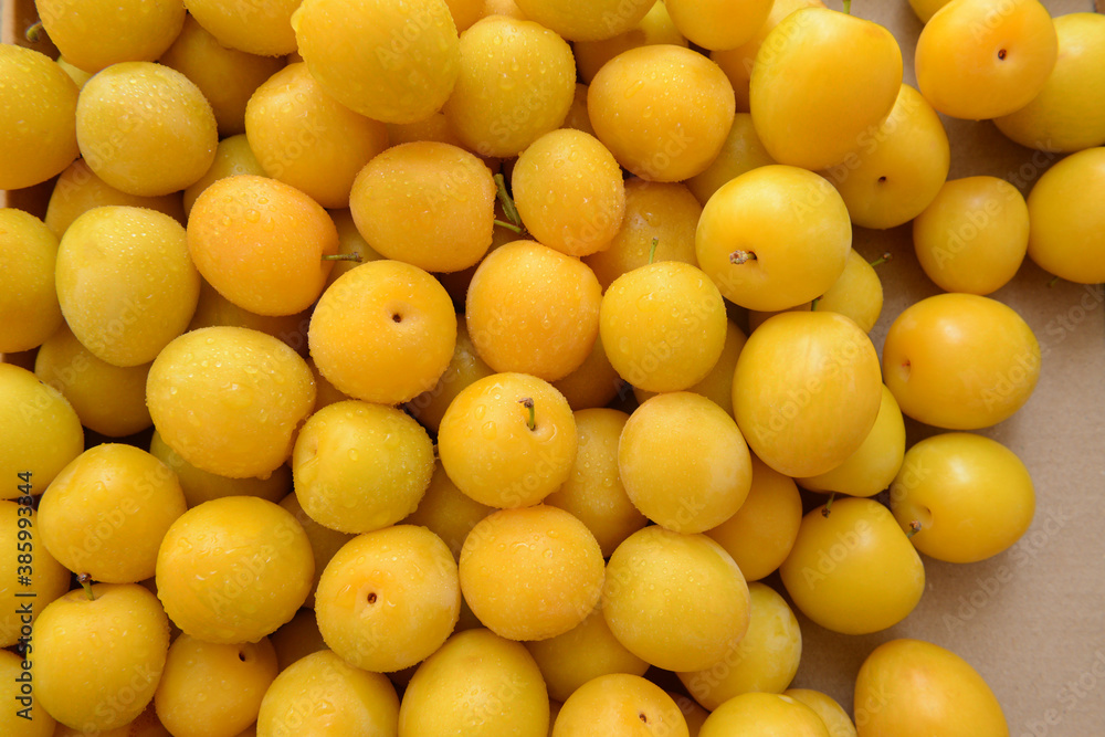 Ripe yellow plums background. Organic fruit harvest from local farm. Plums season. Ripe yellow plums background. Organic fruit harvest from local farm. Plums season.