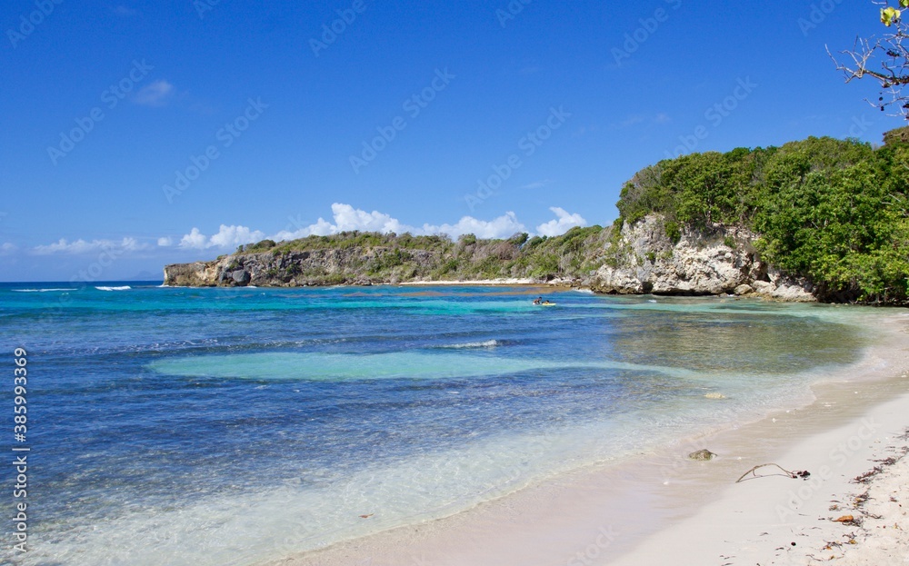 Tropical carribean beach of Guadeloupe
Tropical carribean beach of Guadeloupe