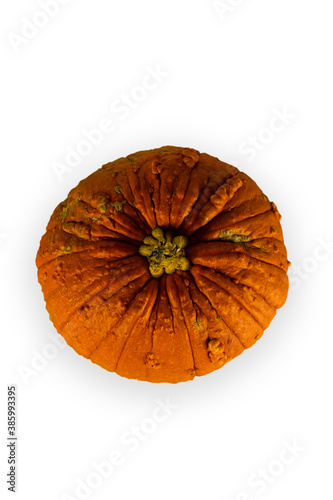Pumpkin isolated on white background for copy space. Halloween or Thanksgiving concept