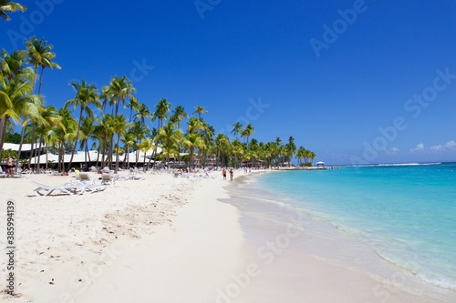 White sand beach with palm trees, Plage de la caravelle, Guadeloupe, French Antilles  © Soldo76