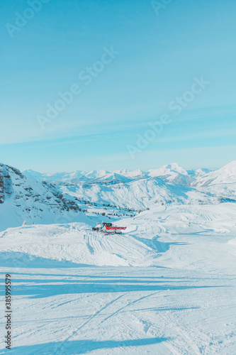 Snow Cat - French Alps
