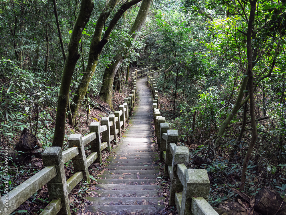 The beautiful mountain path surrounded by trees. The beautiful mountain path surrounded by trees.