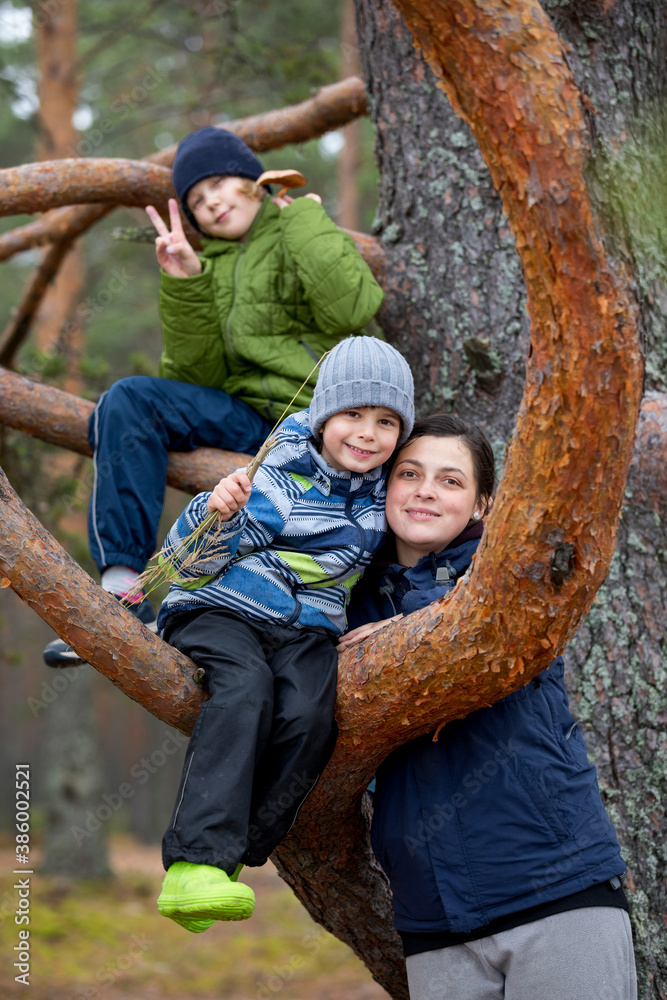 family portrait of a holiday in the woods. Mom with two kids in a tree.