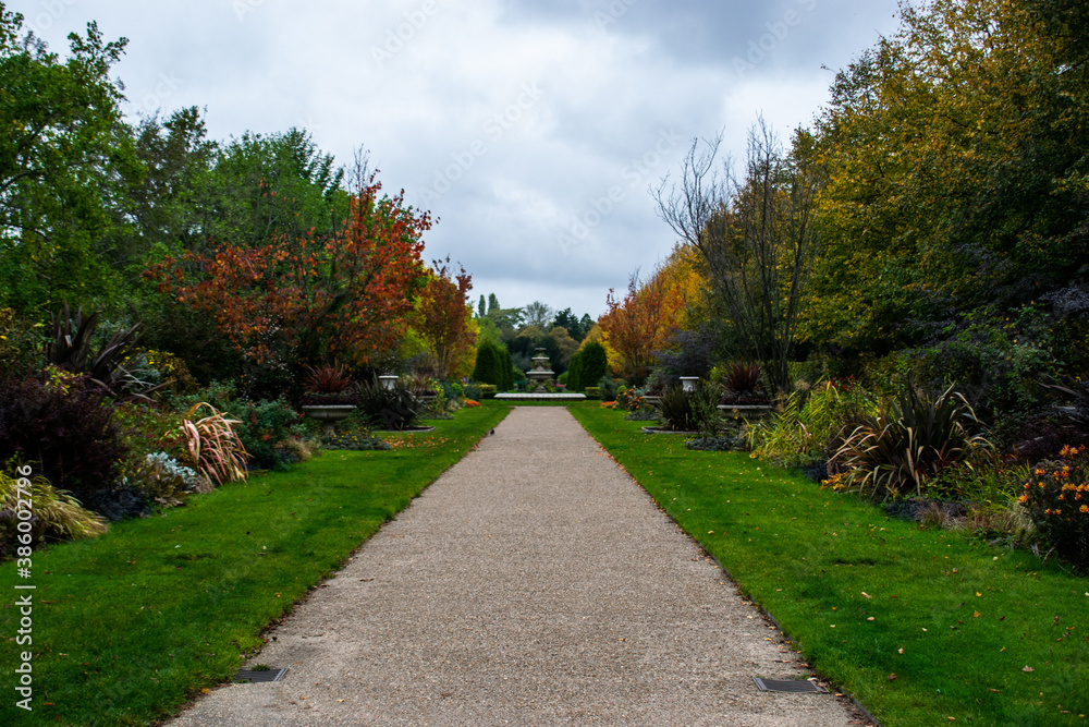 Photo of a autumn forest without people. Full of trees of different colours, yellow, green, orange. October weather, cozy inspiration. Leaves falling Photo of a autumn forest without people. Full of trees of different colours, yellow, green, orange. October weather, cozy inspiration. Leaves falling