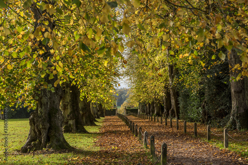 Foto Polesden Lacey autumn walk