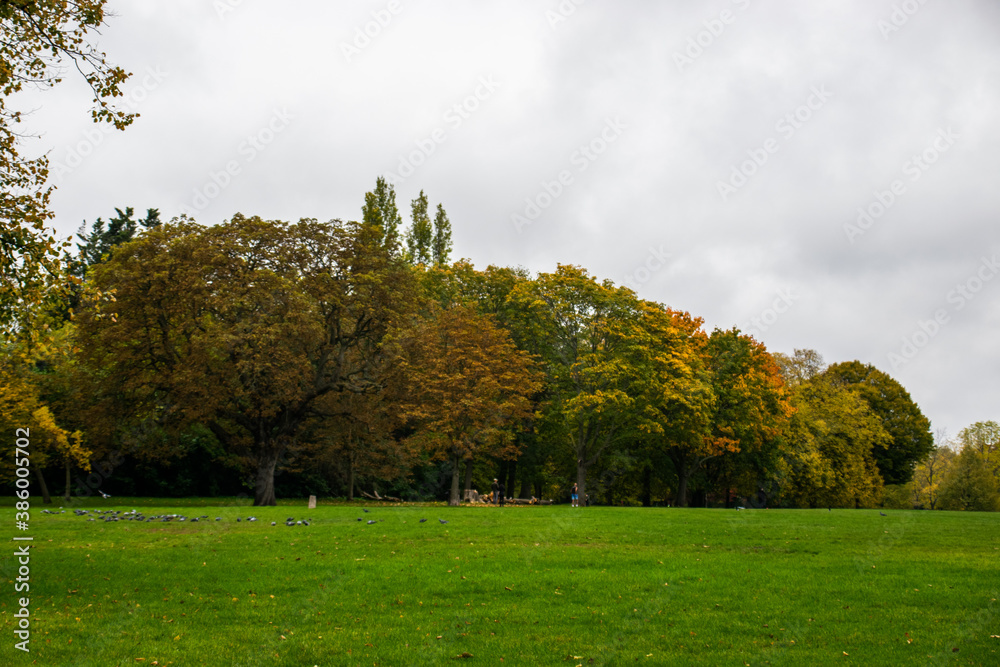 Naklejka premium Photo of a autumn forest without people. Full of trees of different colours, yellow, green, orange. October weather, cozy inspiration. Leaves falling