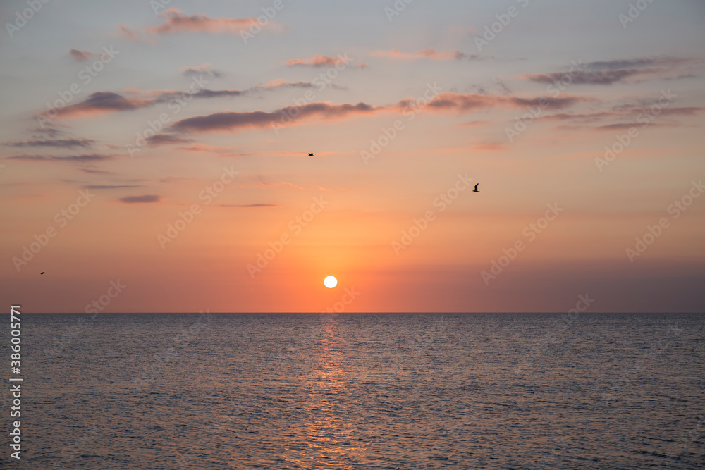 beautiful sunset in the sea, the water is calm and the sky has orange colors, the clouds are dyed in color and the birds fly in the sky