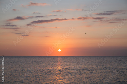 beautiful sunset in the sea, the water is calm and the sky has orange colors, the clouds are dyed in color and the birds fly in the sky © Eloy