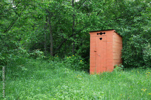 one toilet in a green forest in summer