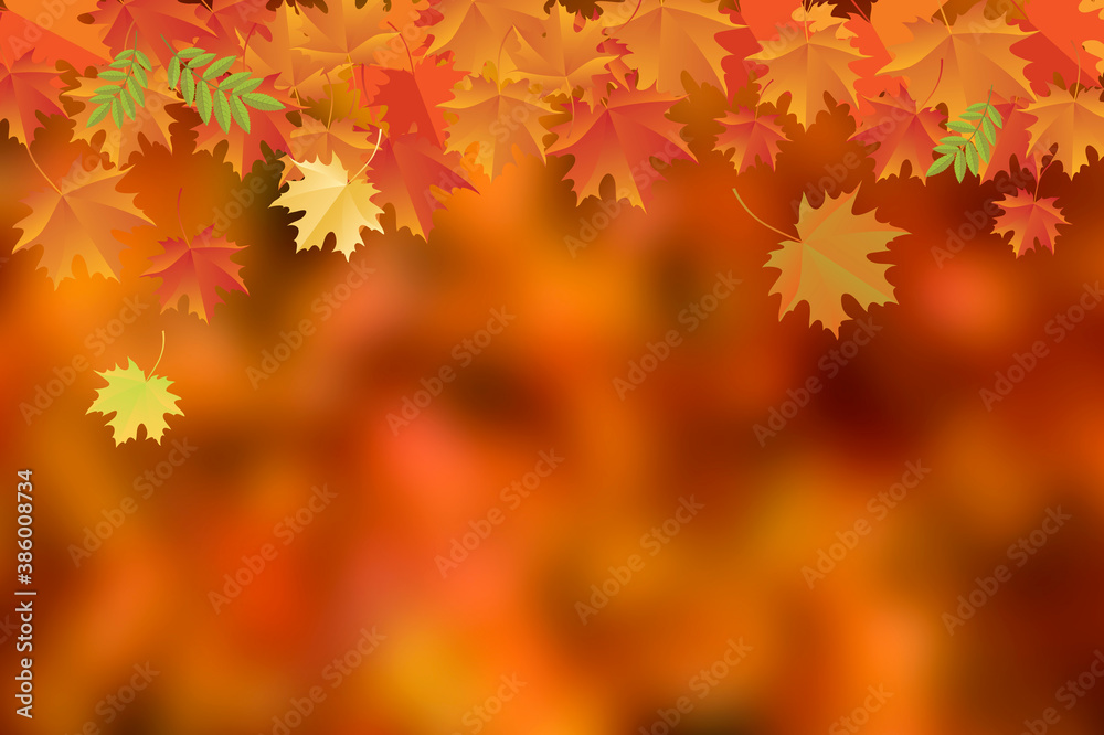 Beautiful autumn background with falling orange leaves stock images. Autumn falling maple leaves decorative frame. Autumn border with copy space fort text. Floating red orange autumn leaves background Beautiful autumn background with falling orange leaves stock images. Autumn falling maple leaves decorative frame. Autumn border with copy space fort text. Floating red orange autumn leaves background