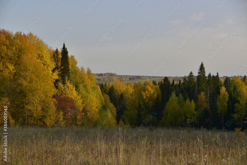Fototapeta premium A riot of colors in the Ural forest. Autumn is in full swing in the foothills of the Western Urals.